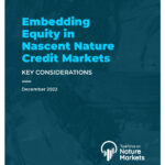 Embedding Equity in Nascent Nature Credit Markets:  Key Considerations