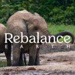 Rebalance Earth