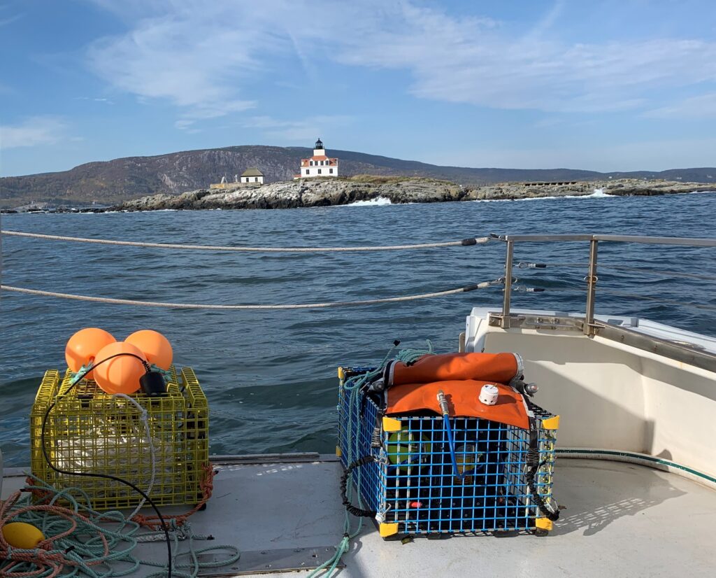 Ropeless gear along side traditional lobster rope and line fishing gear. 