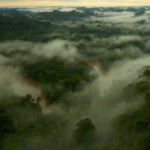 Flying River of the Amazon