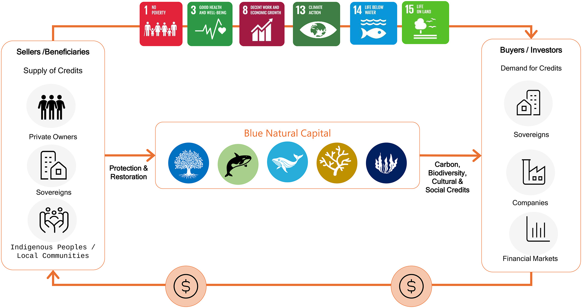 Blue natural capital research illustration