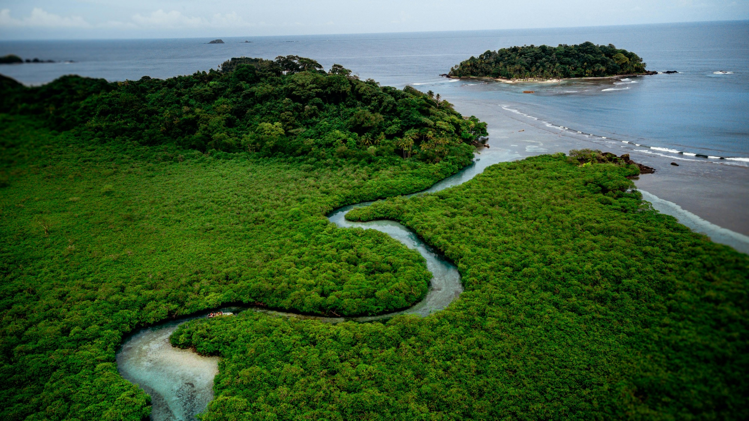 Lush forest landscape representing Panama’s natural capital